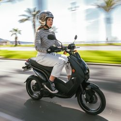 thumb_1246_700_700_0_0_auto